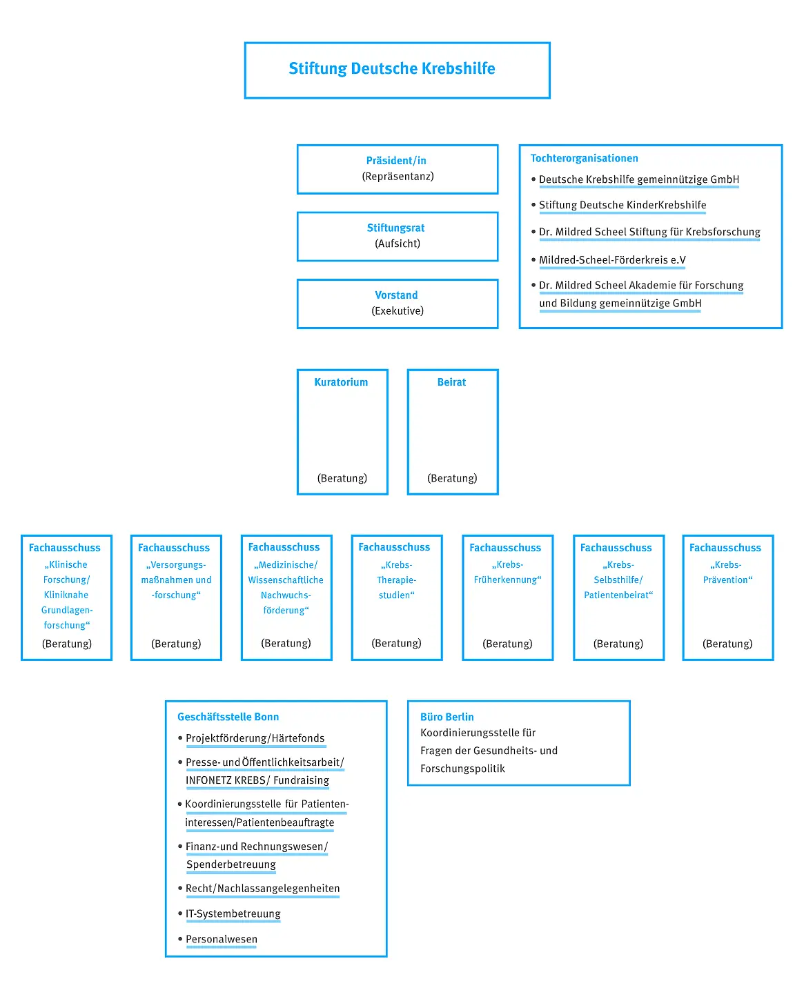 Organigramm
